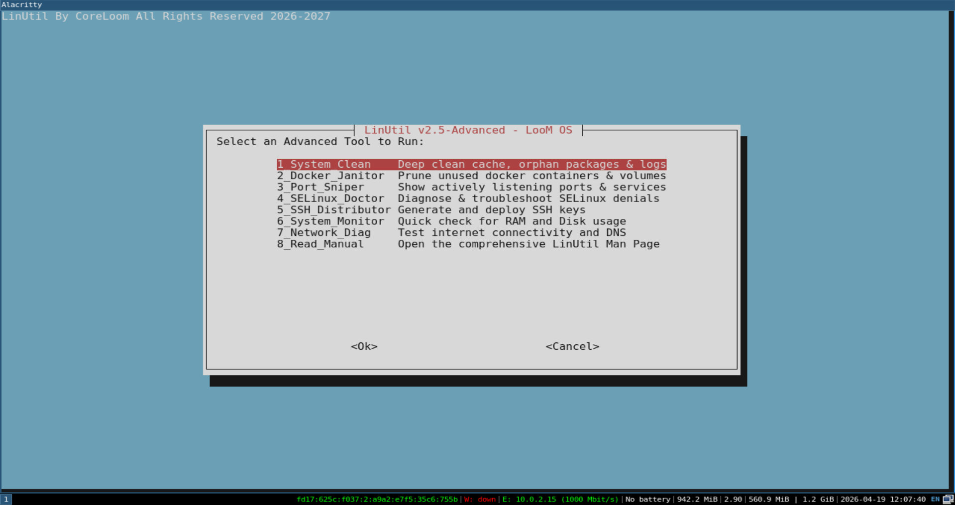 LooM OS Alacritty & LinUtil